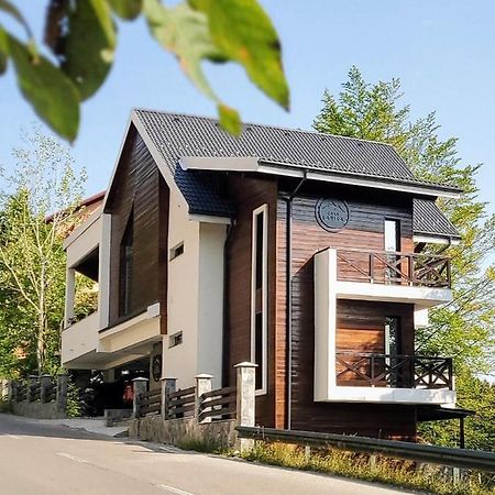Casa Larisa Antonia Apartments Sinaia Eksteriør bilde