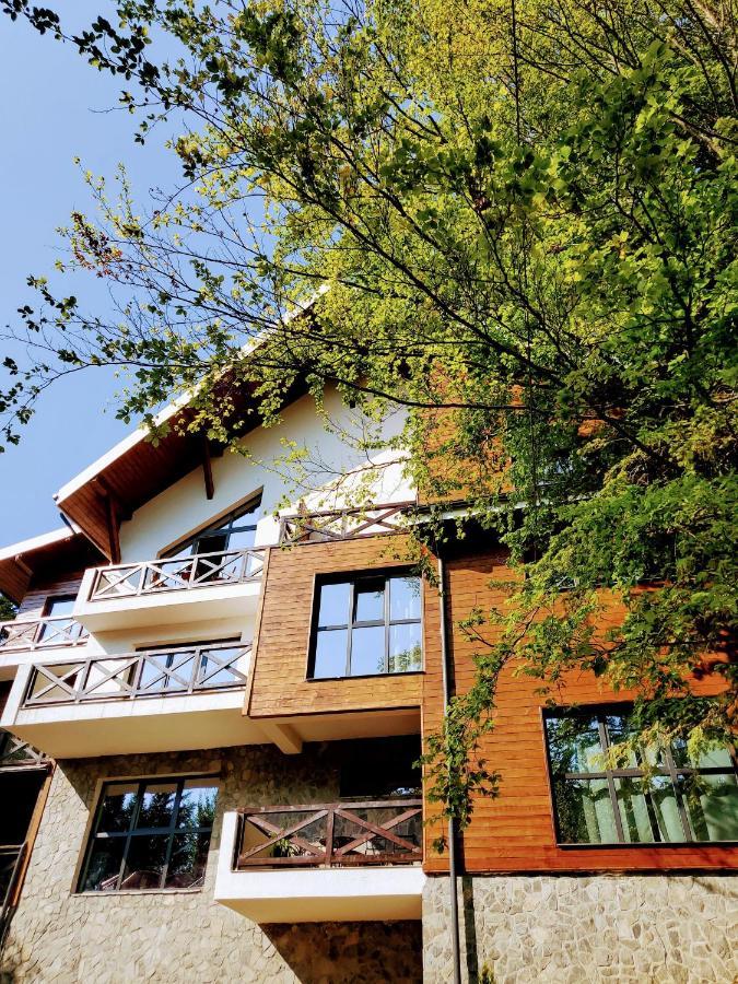 Casa Larisa Antonia Apartments Sinaia Eksteriør bilde