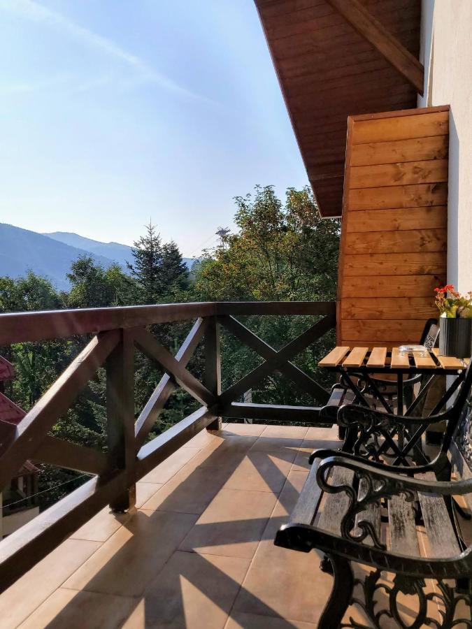 Casa Larisa Antonia Apartments Sinaia Eksteriør bilde