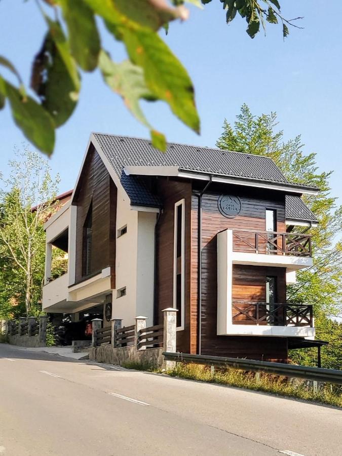 Casa Larisa Antonia Apartments Sinaia Eksteriør bilde