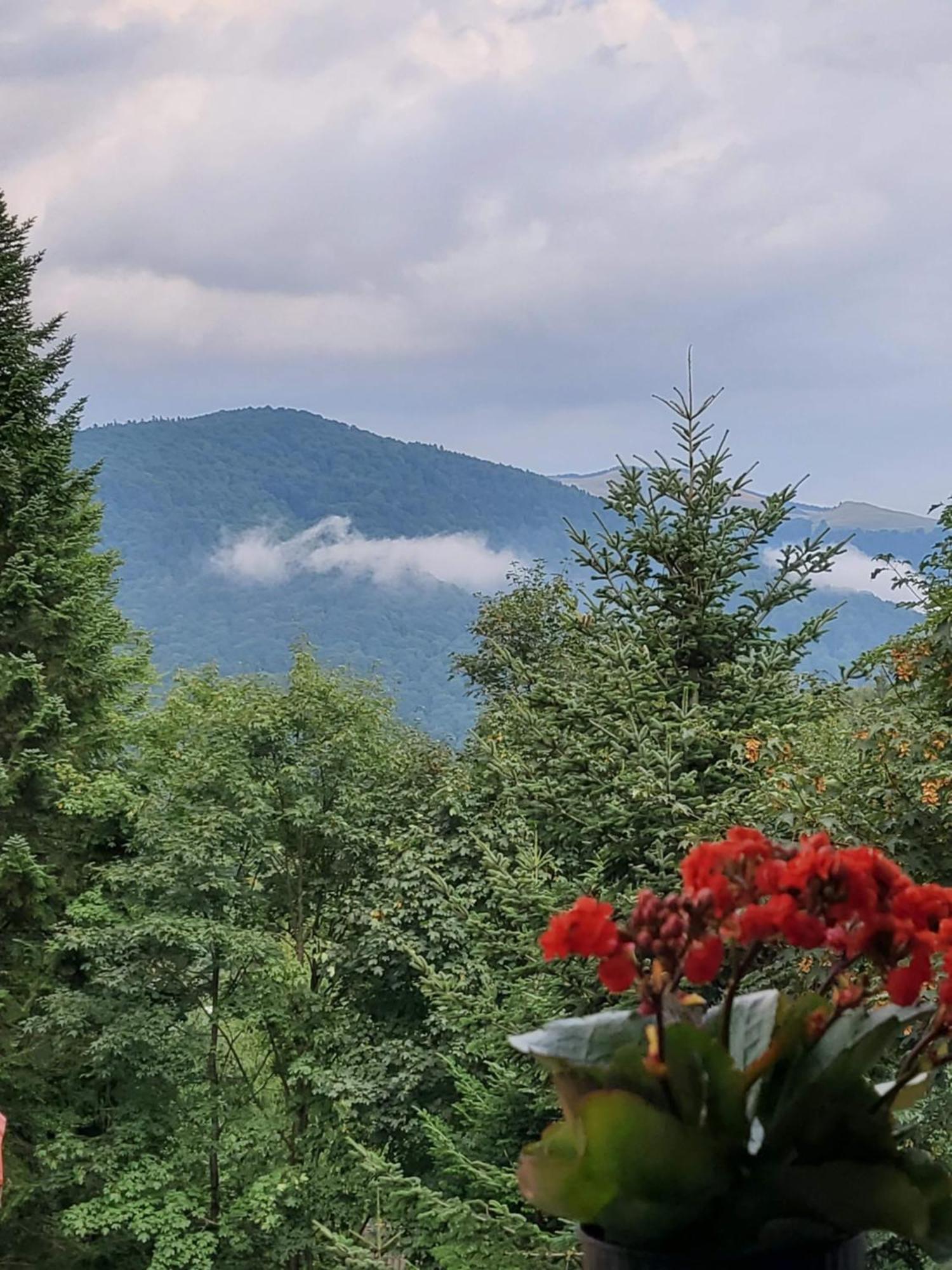 Casa Larisa Antonia Apartments Sinaia Eksteriør bilde